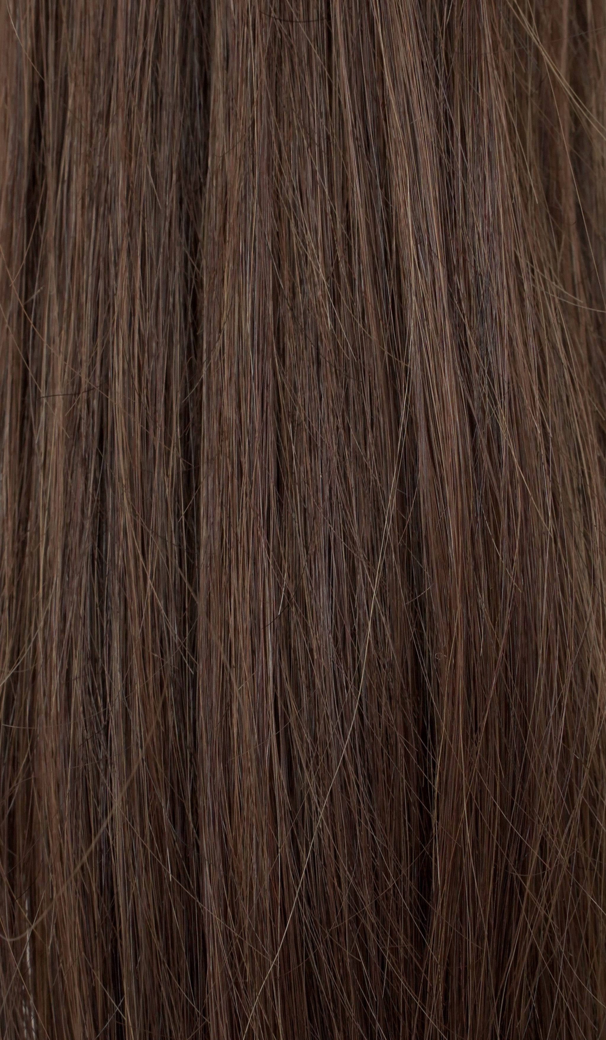 PONYTAIL COLD B studená hnedá