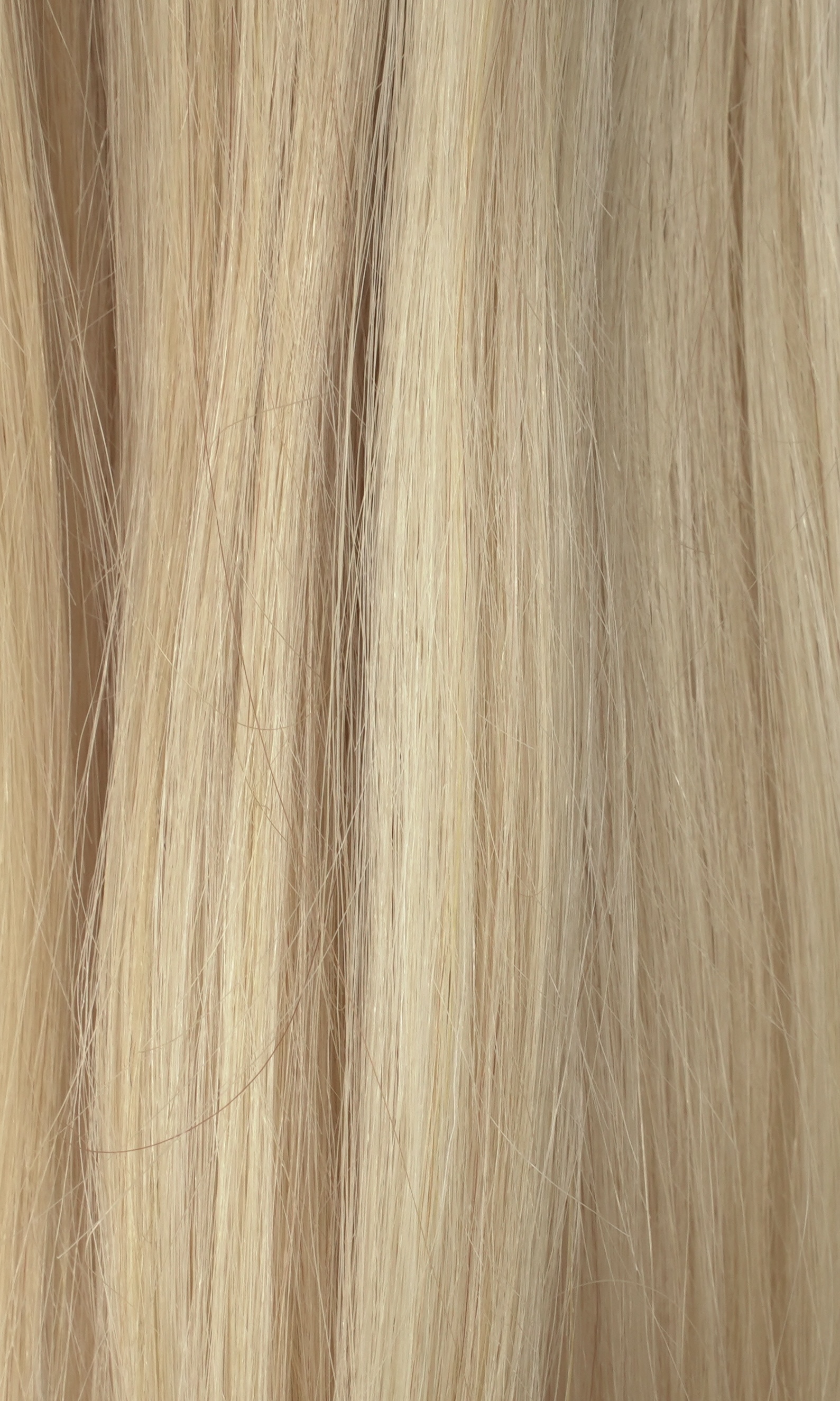 PONYTAIL Barbie Blonde platinová blond